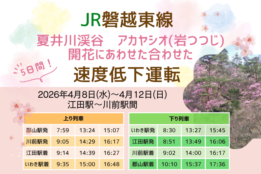JR磐越東線アカヤシオ(岩ツツジ)の開花に合わせた徐行運転