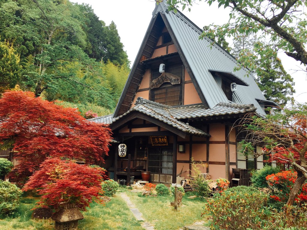 秘湯ファン絶賛の入の元湯神泉亭！濃厚炭酸泉の効能と最新営業ガイド