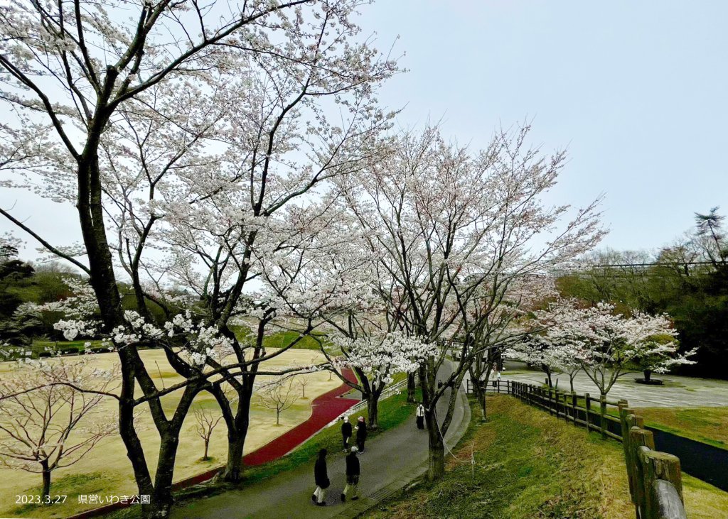 県営いわき公園｜見る・遊ぶ｜いわき市観光サイト - いわき市の観光