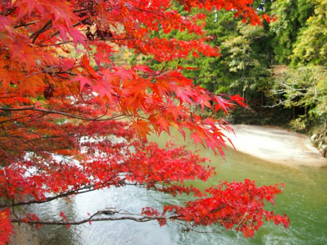 秋のおすすめ《川前町の自然》コース公開しました！