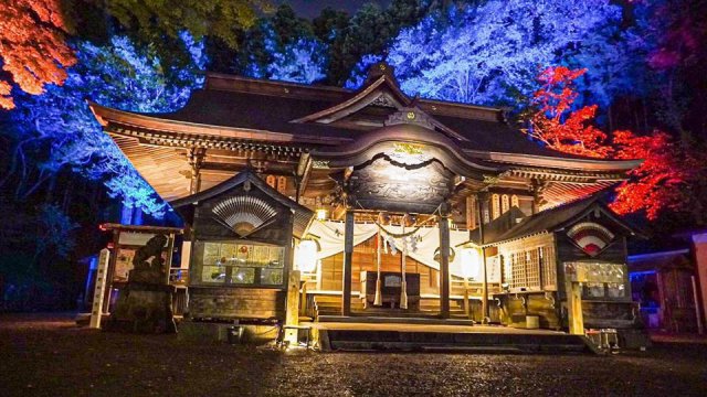 温泉神社ライトアップ 始まります!