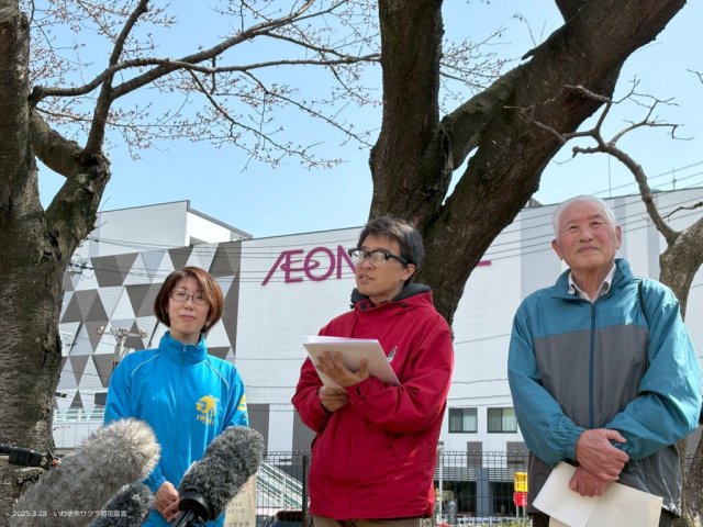 いわきのサクラ 開花宣言!