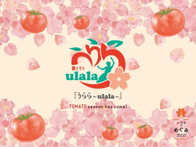今年も麗かなトマトの季節が到来。春トマト『うらら~ulala~』好評販売中♪試食キャンペーンやプレゼント企画実施中!