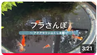 いわきコンピュータ・カレッジの学生さん制作！観光ＰＲ動画ができました！