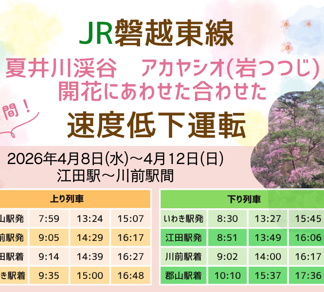 JR磐越東線アカヤシオ(岩ツツジ)の開花に合わせた徐行運転