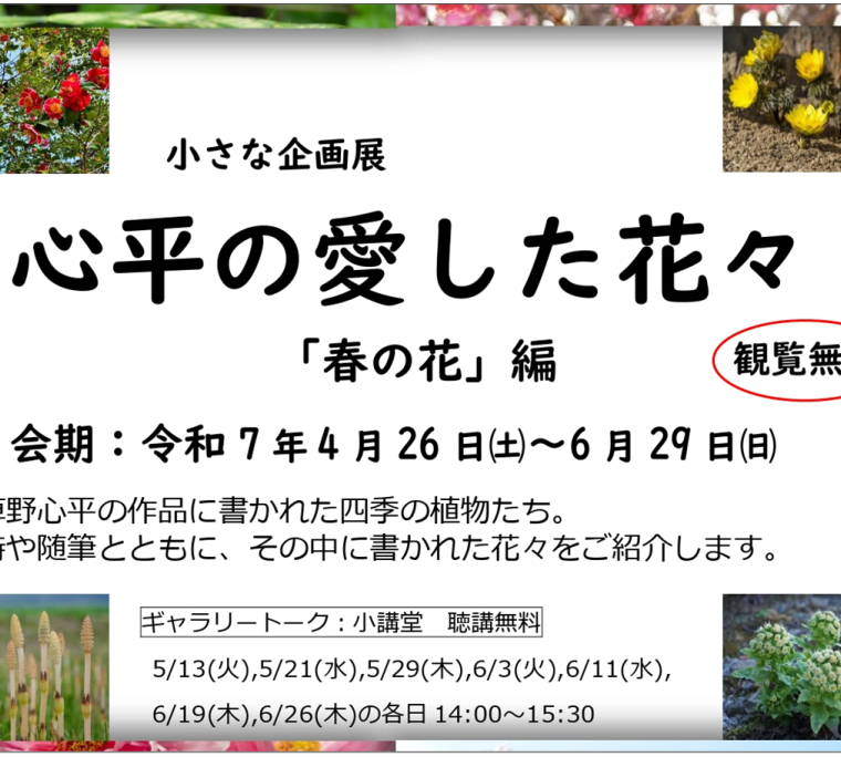 小さな企画展「心平の愛した花々「春の花」編」