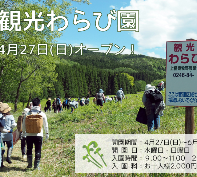 上桶売牧野観光わらび園