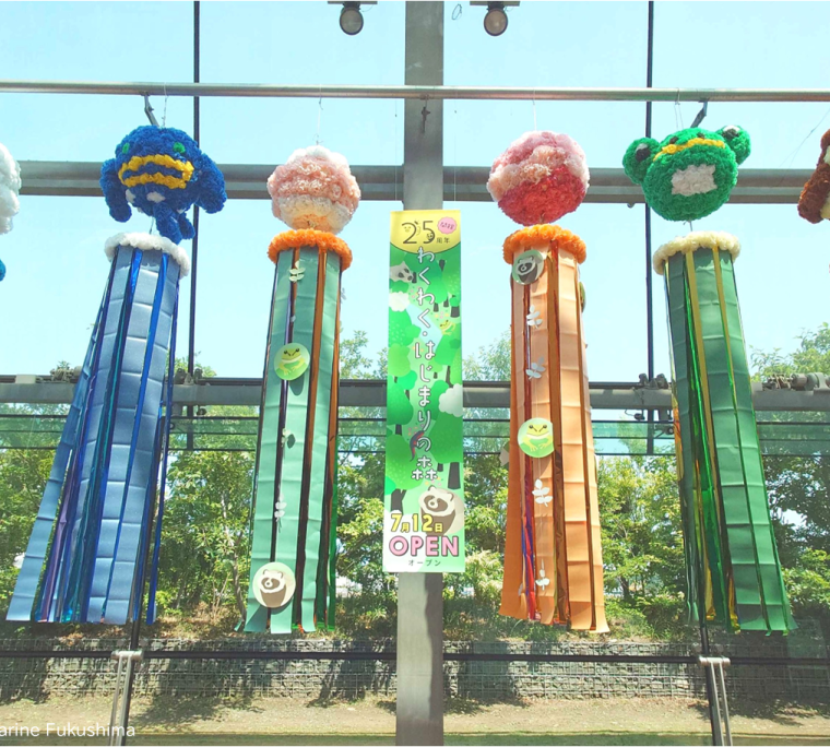 夏の風物詩「アクアマリンの七夕まつり」
