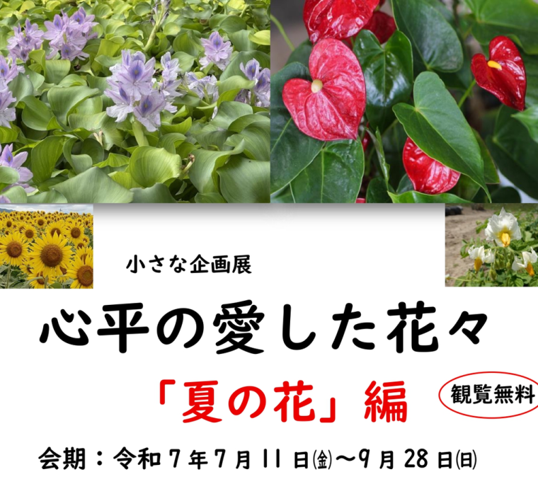 小さな企画展「心平の愛した花々「夏の花」編」