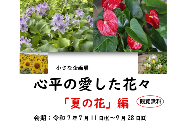 小さな企画展「心平の愛した花々「夏の花」編」