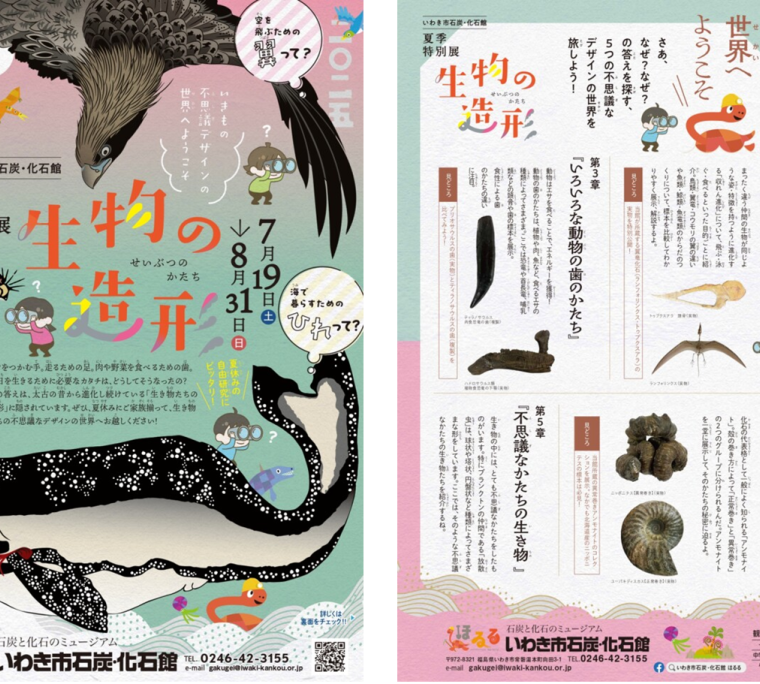 夏季特別展「生物の造形」