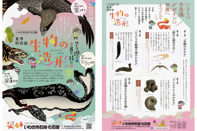 夏季特別展「生物の造形」