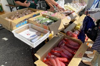 去年の開催の様子