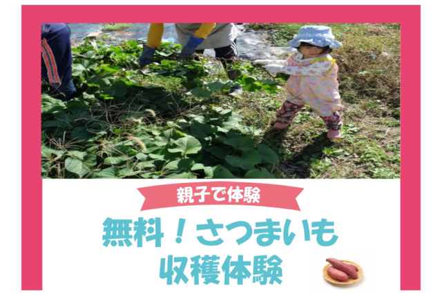 無料！さつまいも収穫体験《要事前申込》