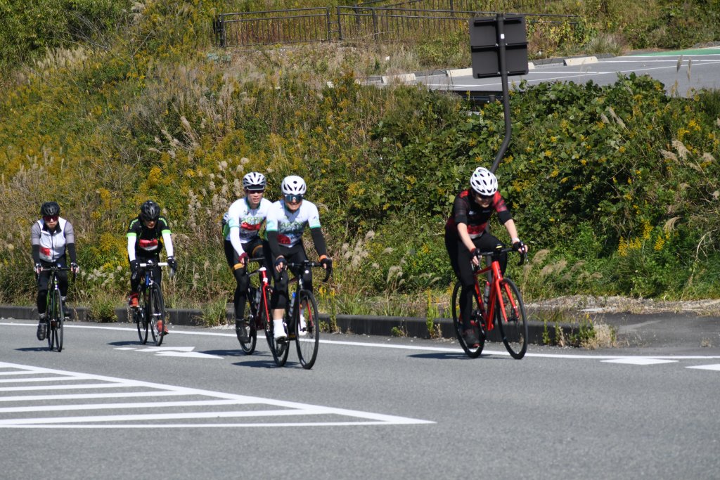 昨年開催の様子