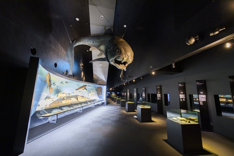 海・生命の進化