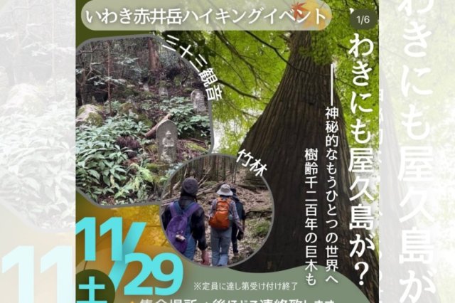 龍燈杉を巡るトレッキングツアー