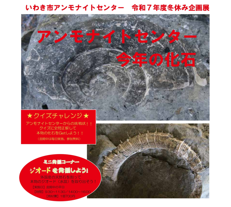 令和7年度冬休み企画展「アンモナイトセンター今年の化石」