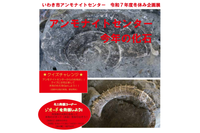 令和7年度冬休み企画展「アンモナイトセンター今年の化石」