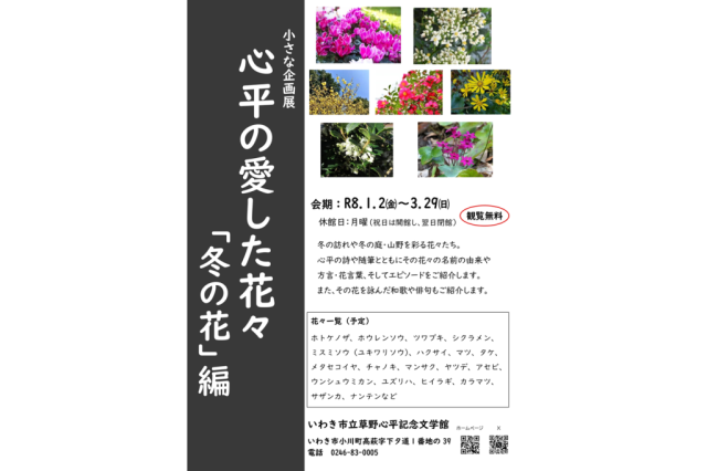 いわき市立草野心平記念文学館　　小さな企画展「心平の愛した花々「冬の花」編」