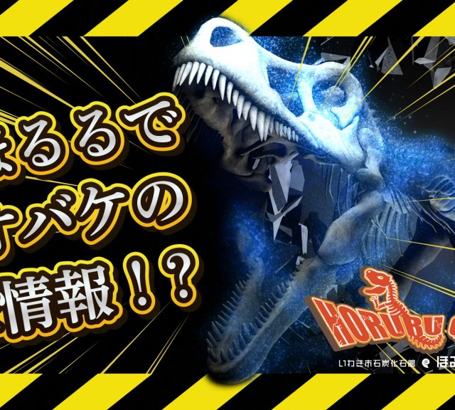 ほるるクエストⅢ《要事前申込》