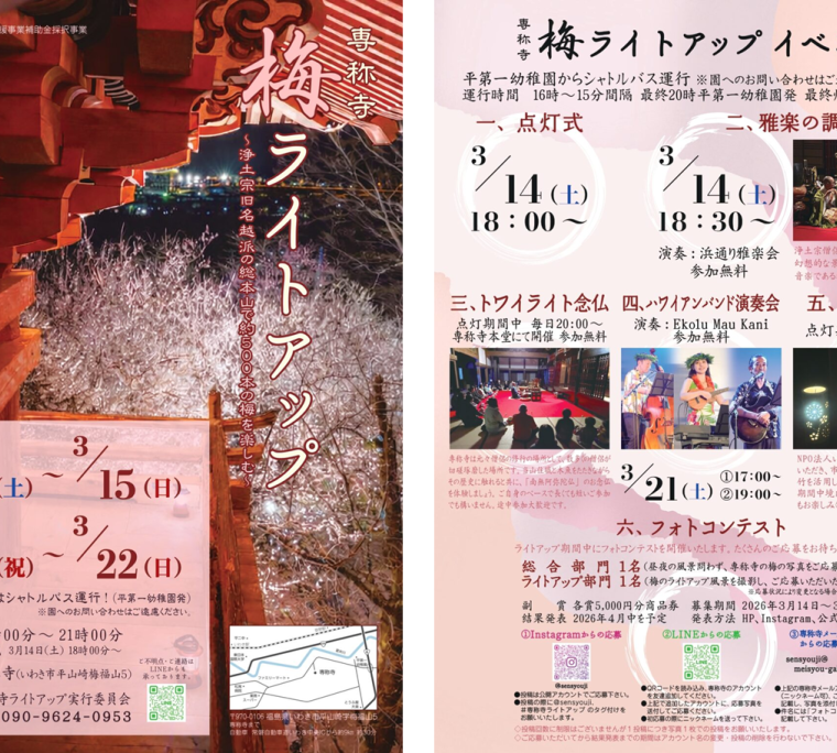 専称寺 梅ライトアップ