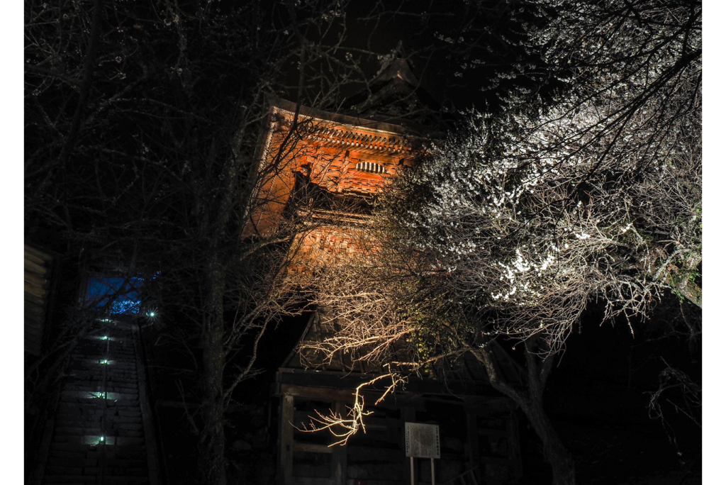 昨年開催時の様子