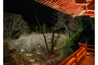 昨年開催時の様子