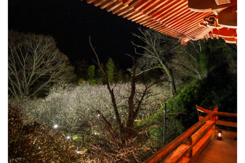 昨年開催時の様子