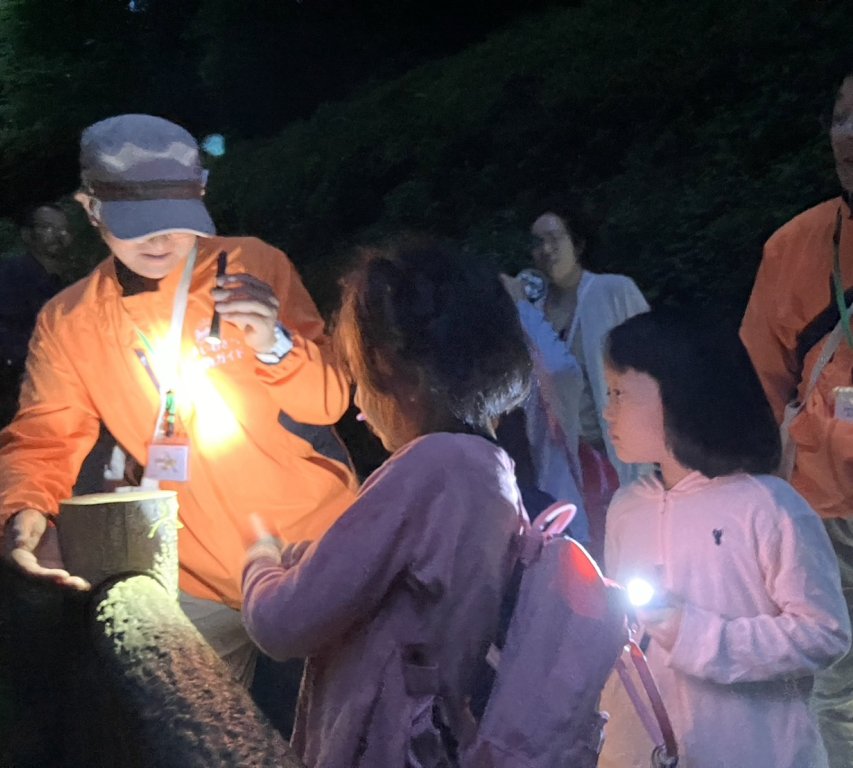 いわきあるき【いわき名物ガイドプラン】夜のいわき公園散策《要事前申込》