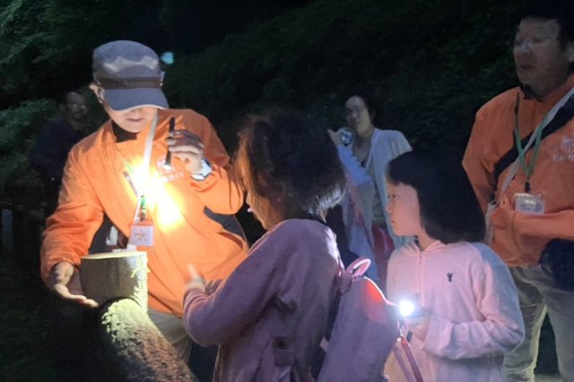 いわきあるき【いわき名物ガイドプラン】夜のいわき公園散策《要事前申込》