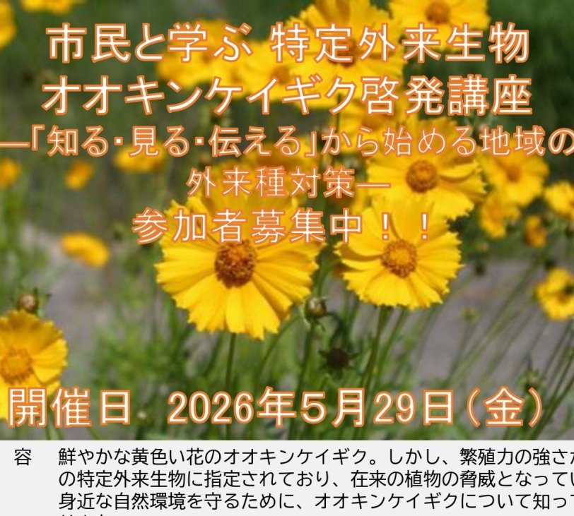 市民と学ぶ特定外来生物オオキンケイギク啓発講座《要事前申込》