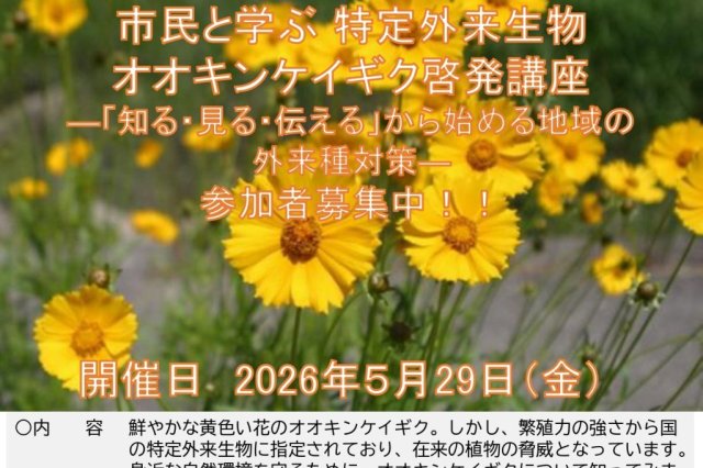 市民と学ぶ特定外来生物オオキンケイギク啓発講座《要事前申込》