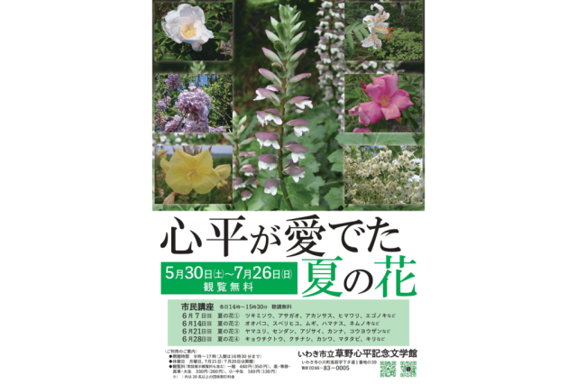 いわき市立草野心平記念文学館　　小さな企画展「心平が愛でた夏の花」