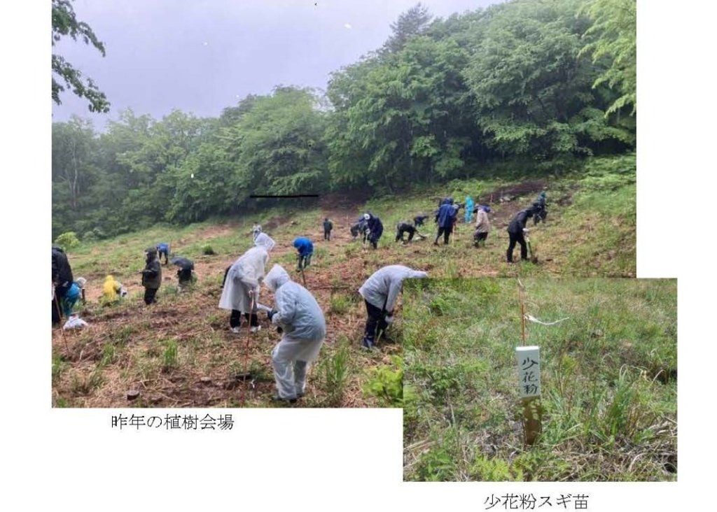 画像はイメージです。