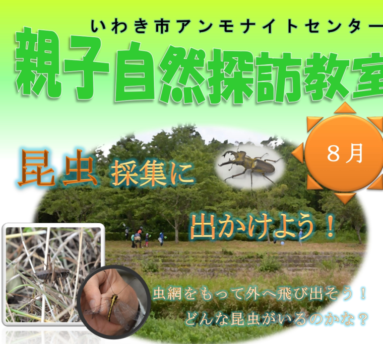 第3回親子自然探訪教室「昆虫採集に出かけよう！」《要事前申込》