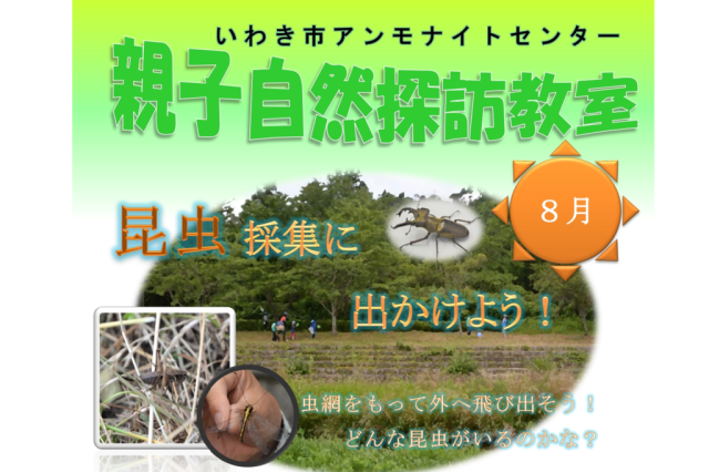 第3回親子自然探訪教室「昆虫採集に出かけよう！」《要事前申込》