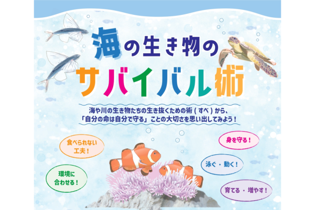企画展「海の生き物のサバイバル術」