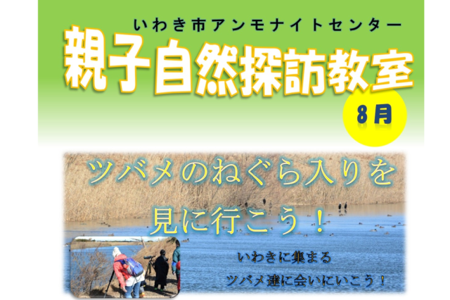 第2回親子自然探訪教室「ツバメのねぐら入りを見に行こう！」《要事前申込》