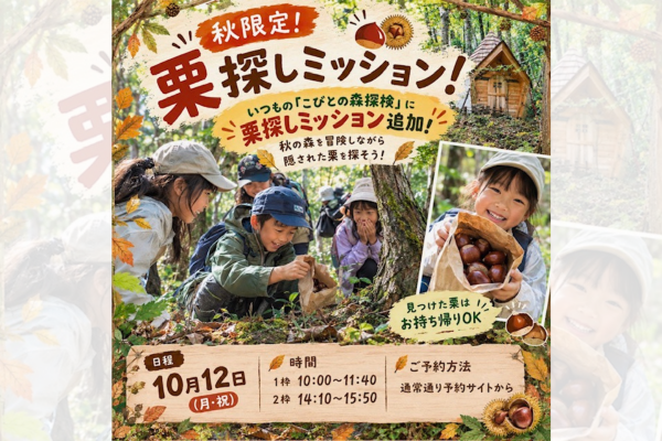 こびとの森探検遊び、栗拾い特別バージョン