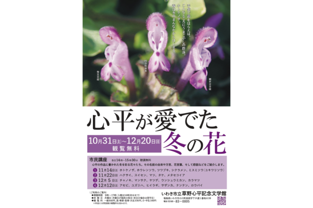 いわき市立草野心平記念文学館　　小さな企画展「心平が愛でた冬の花」