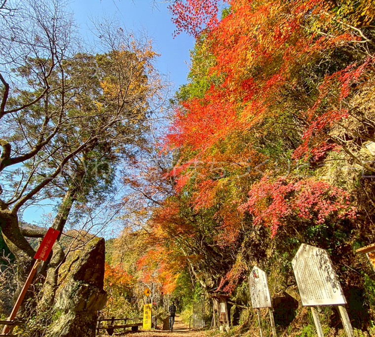 龍神峡