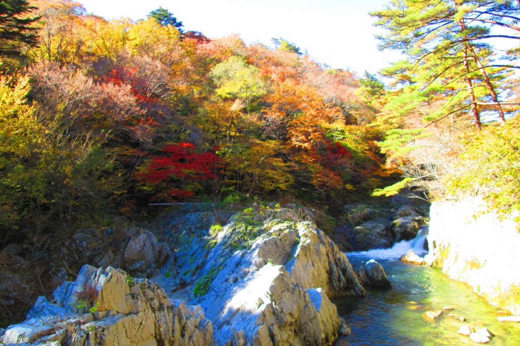 夏井川渓谷 見る 遊ぶ いわき市観光サイト いわき市の観光 旅行情報が満載