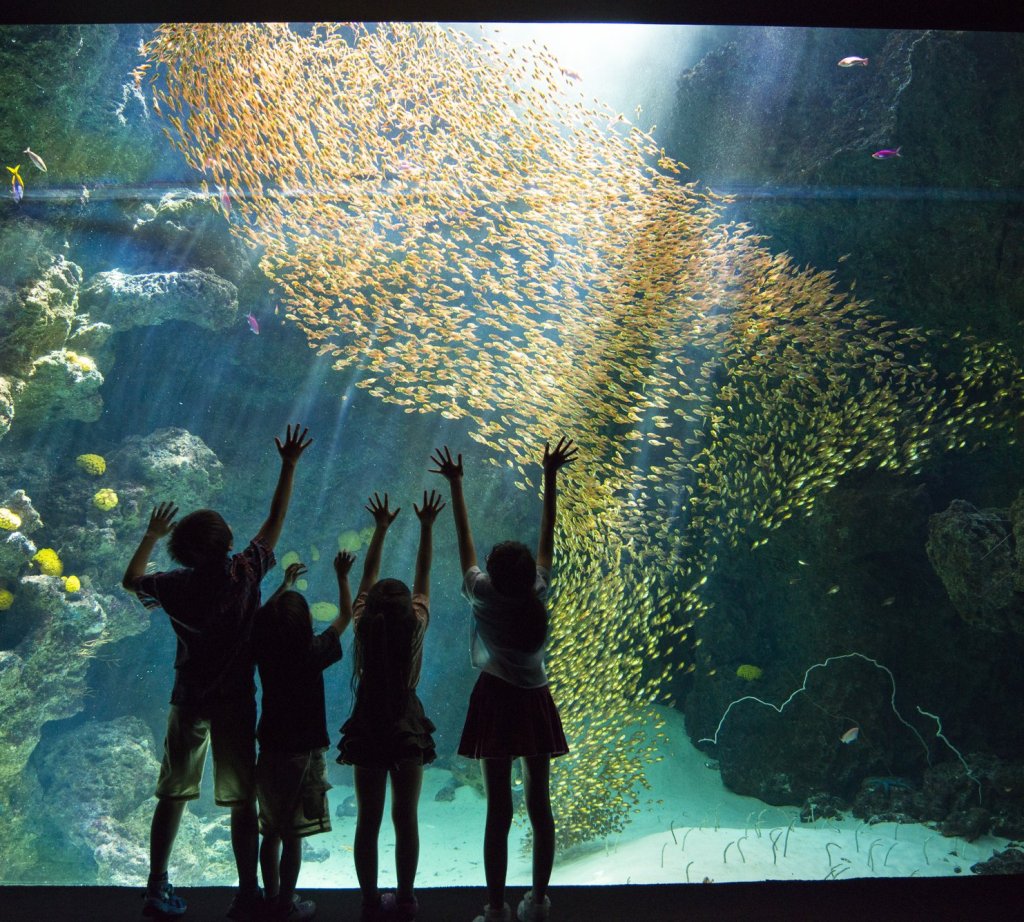 環境水族館アクアマリンふくしま