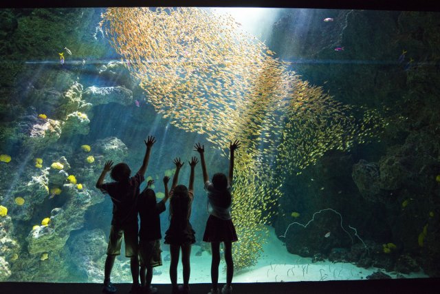 環境水族館アクアマリンふくしま