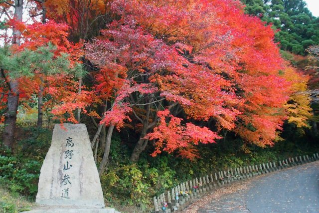 願成寺高野山不動尊遍照光院