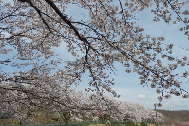 芝山自然公園