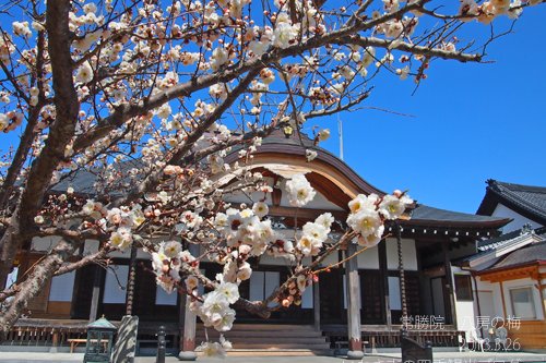 真言宗智山派 鶴隆山常勝院岩城寺