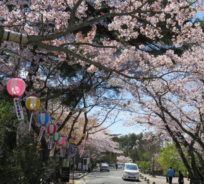 勿来関桜まつり