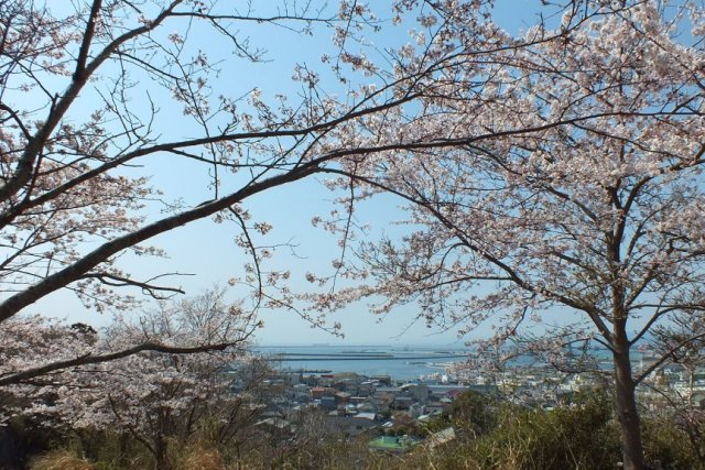 富ヶ浦公園